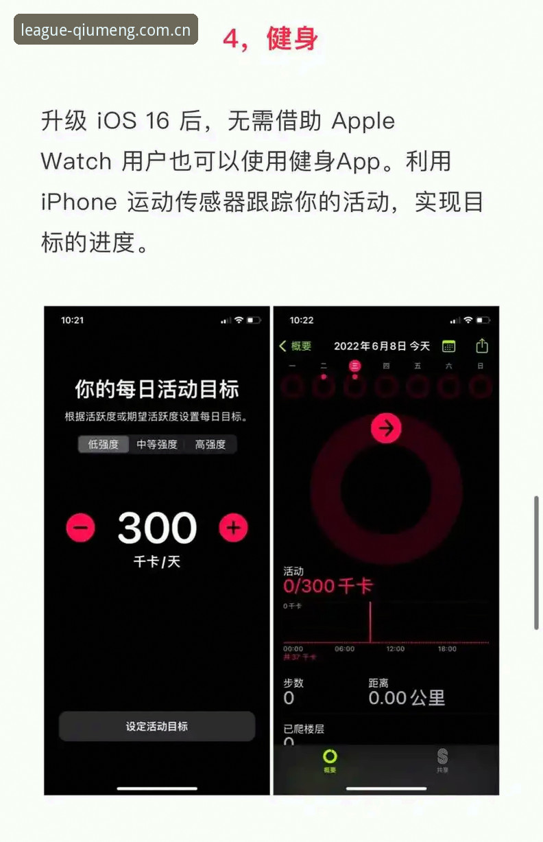 球盟会iOS版 球盟会iOS版实用指南:从下载安装到流畅观赛的必备知识